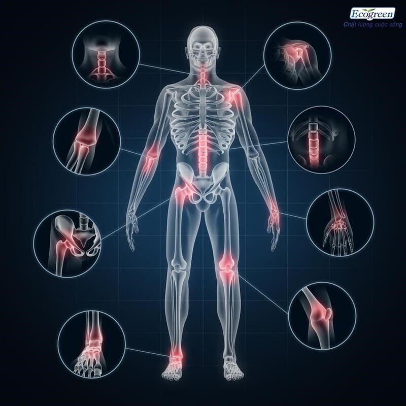 Những vấn đề về đau nhức xương khớp