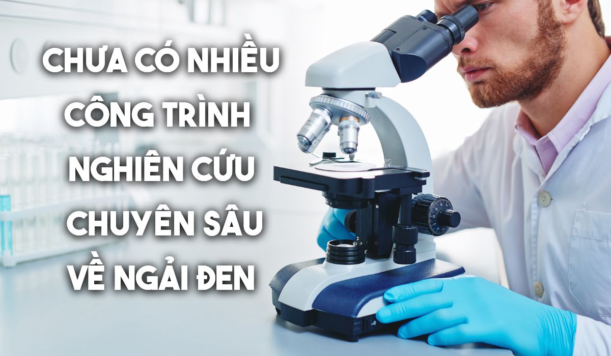 CONG TRINH NGHIEN CUU VE NGAI DEN