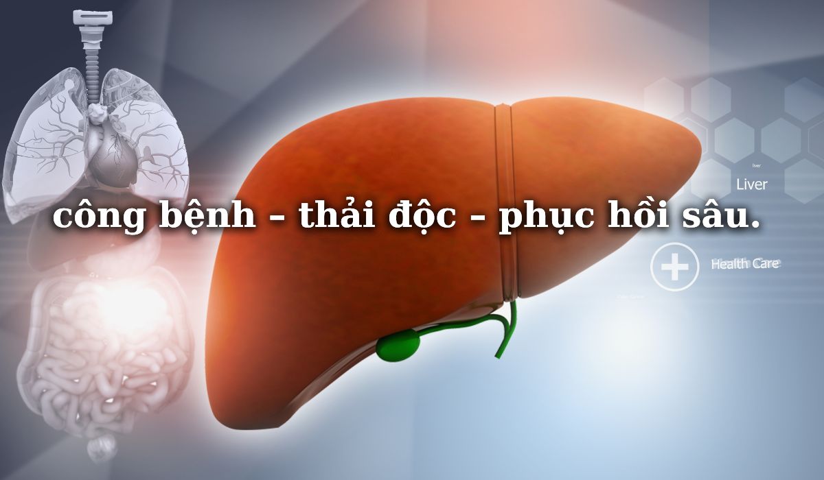 Hỗ trợ thải độc cơ thể