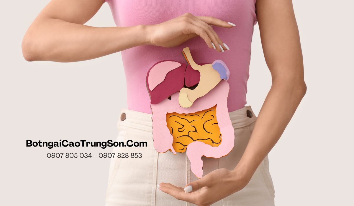 Hỗ trợ hệ tiêu hóa
