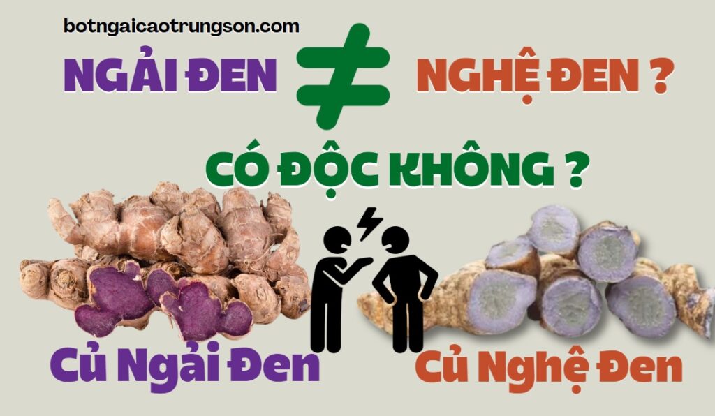 Phân biệt Ngải Đen Phân biệt về ngải đen và nghệ đen ?