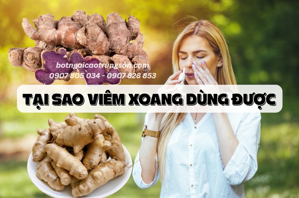 Tại sao dùng Ngải Đen Ngải Chống Độc