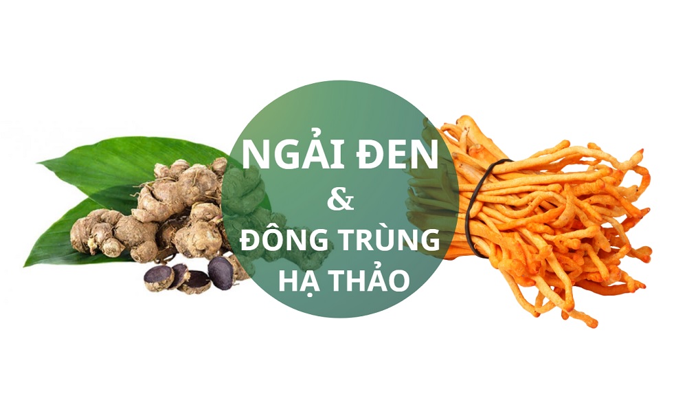 Ngải đen hay đông trùng hạ thảo